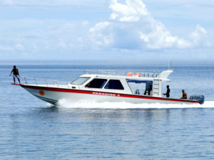 Boat Papua Paradise driving