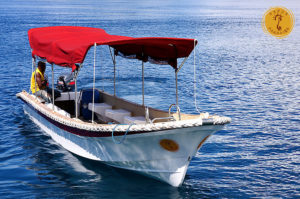 boat of Papua Paradise