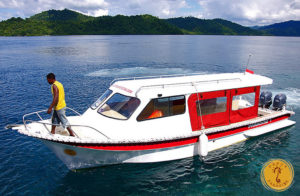 Papua Paradise boat in raja ampat