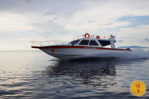 Papua paradise boat