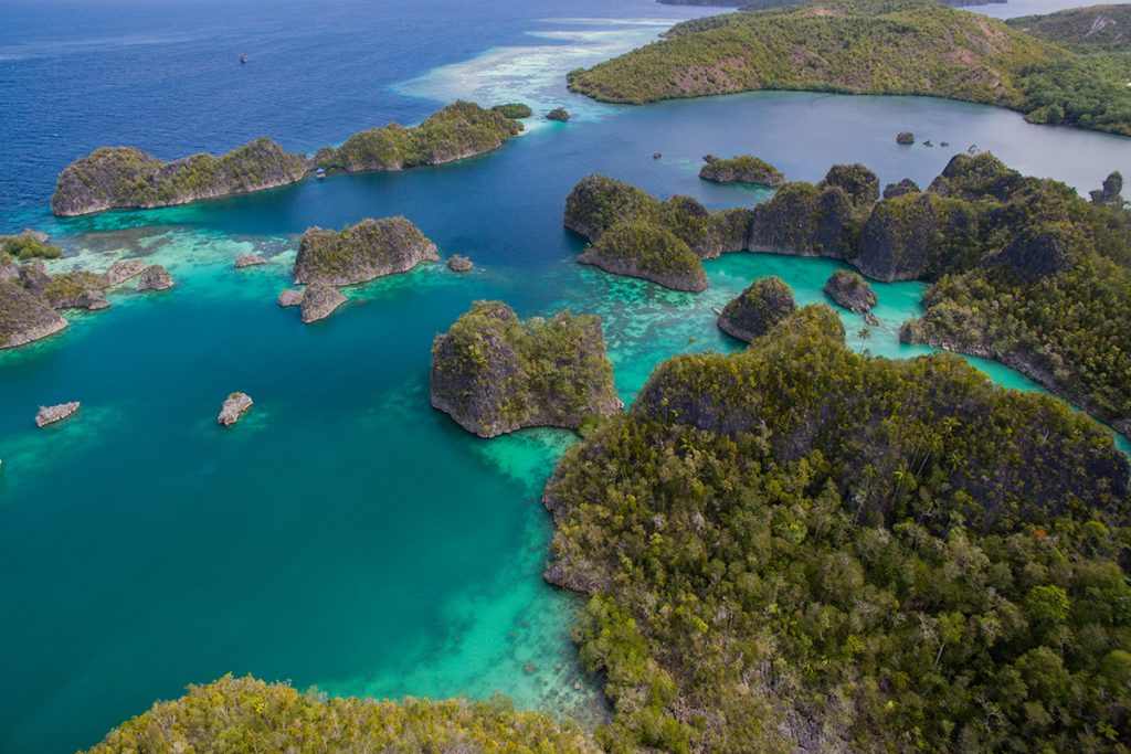 Saving Raja Ampat’s Marine Biodiversity | Papua Paradise