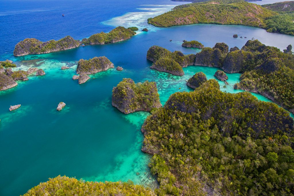 Spend a Day at the Fam Islands in Raja Ampat | Papua Paradise