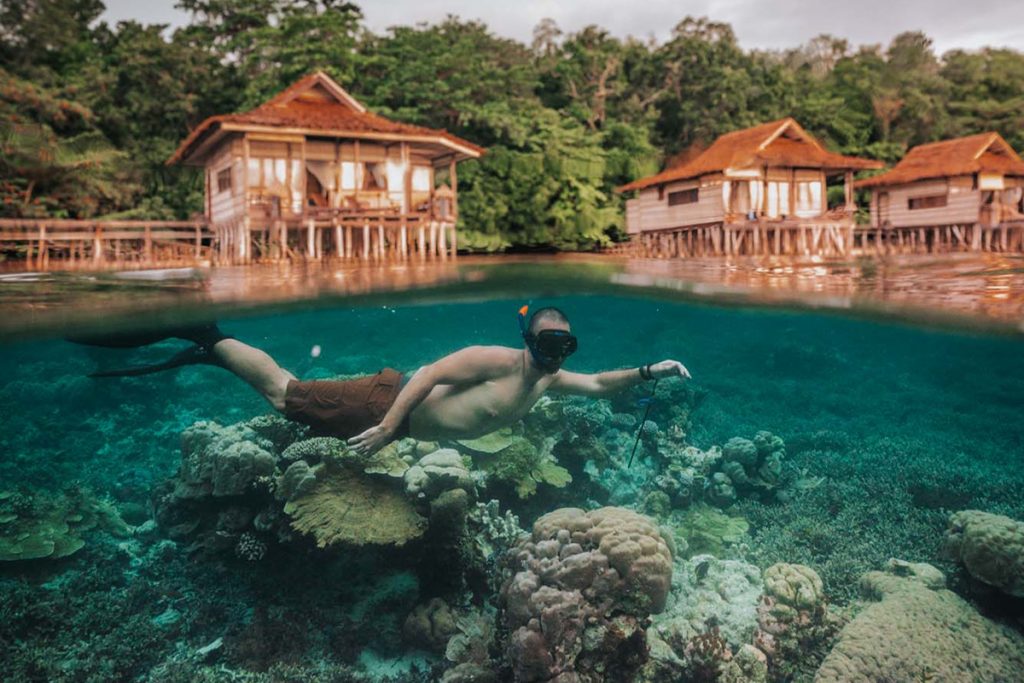 Don’t Dive? Snorkeling Raja Ampat Is Incredible Too! | Papua Paradise