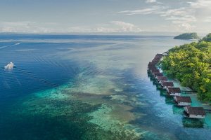 Papua Paradise Eco Resort - Photos