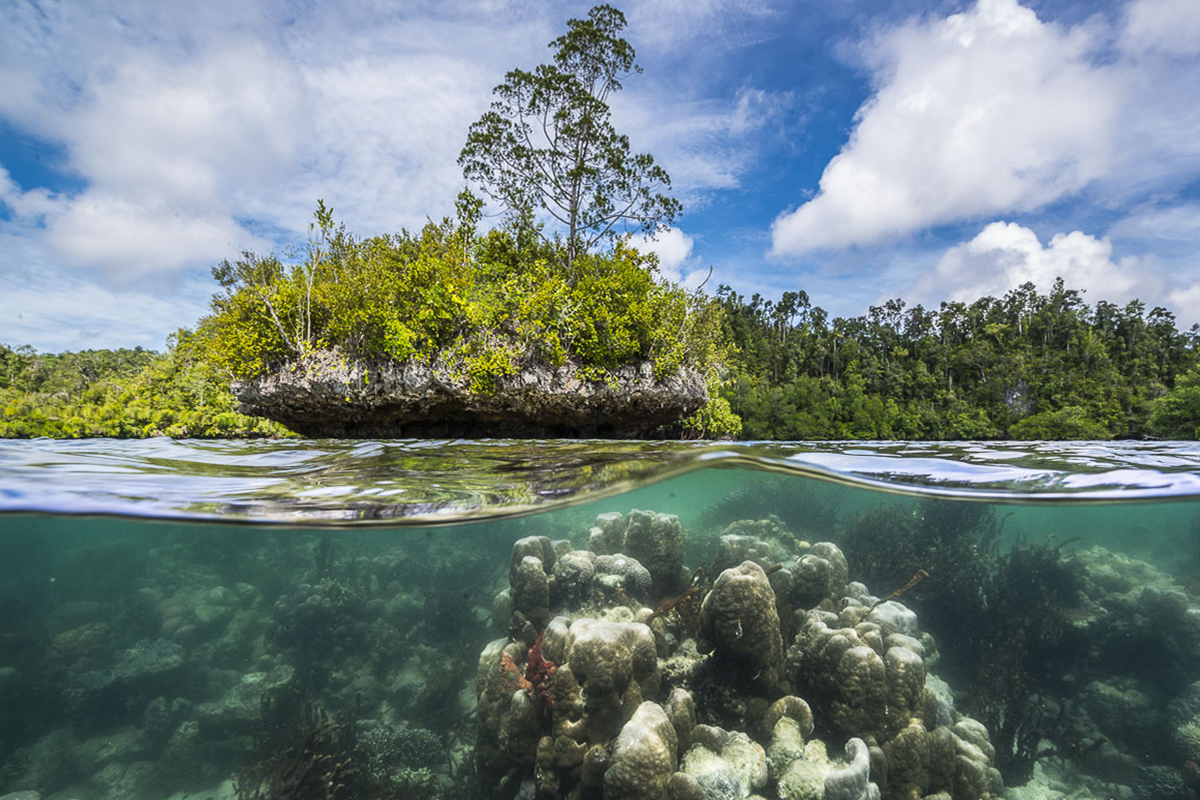 Underwater paradise for Divers and Snorkelers in Raja Ampat