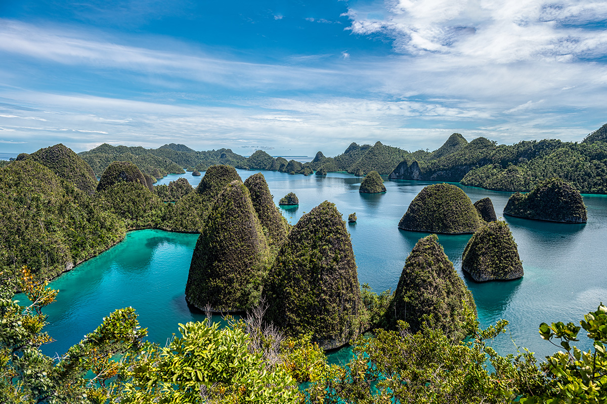 Exploring Raja Ampat’s Unique Wildlife